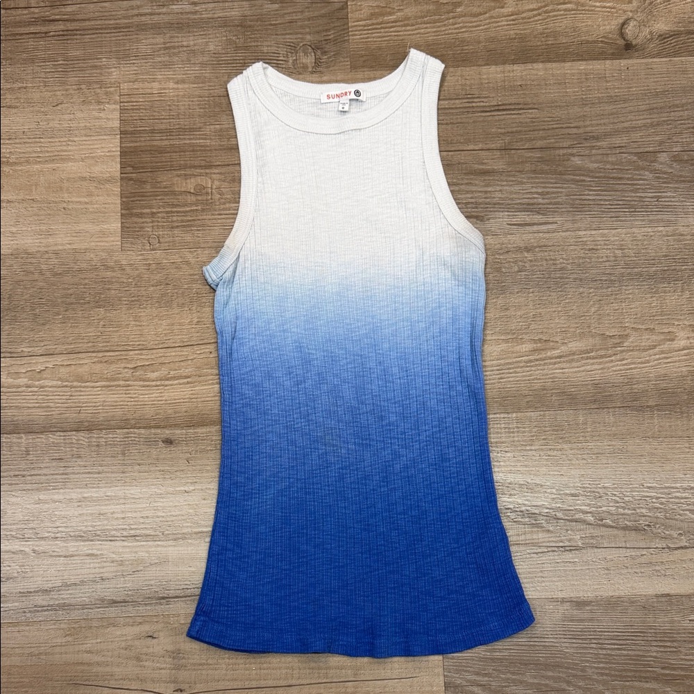 Sundry Blue and White Ribbed Ombre Tank Top, Size 0